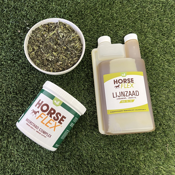 Winterfit pakket voor paarden sfeerfoto