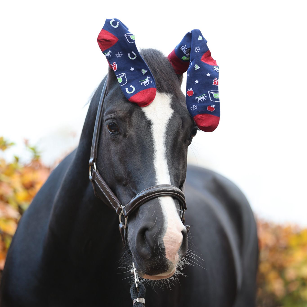 Chaussette pour sabot Tubbease